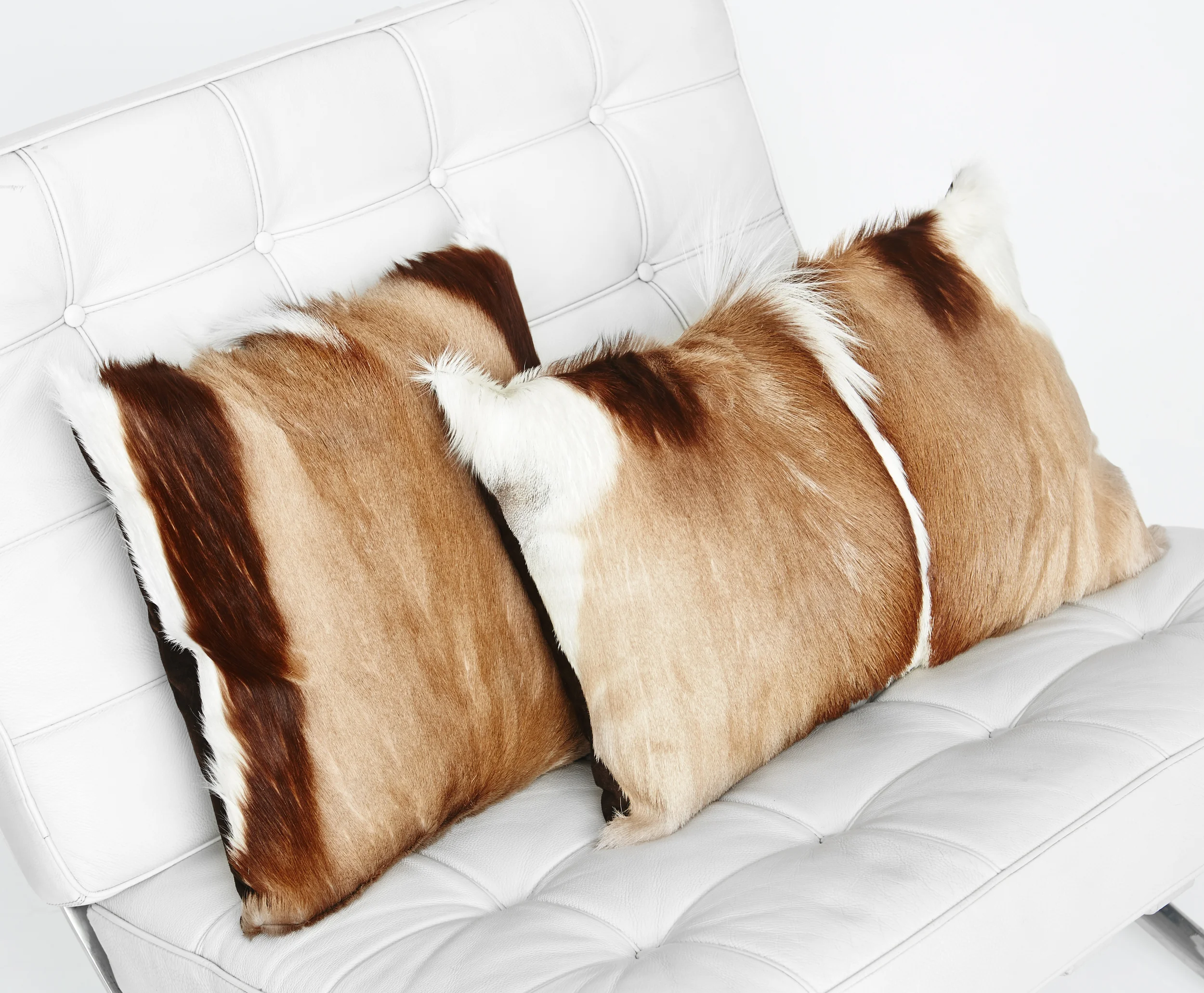 SpringBokPillow.jpg
