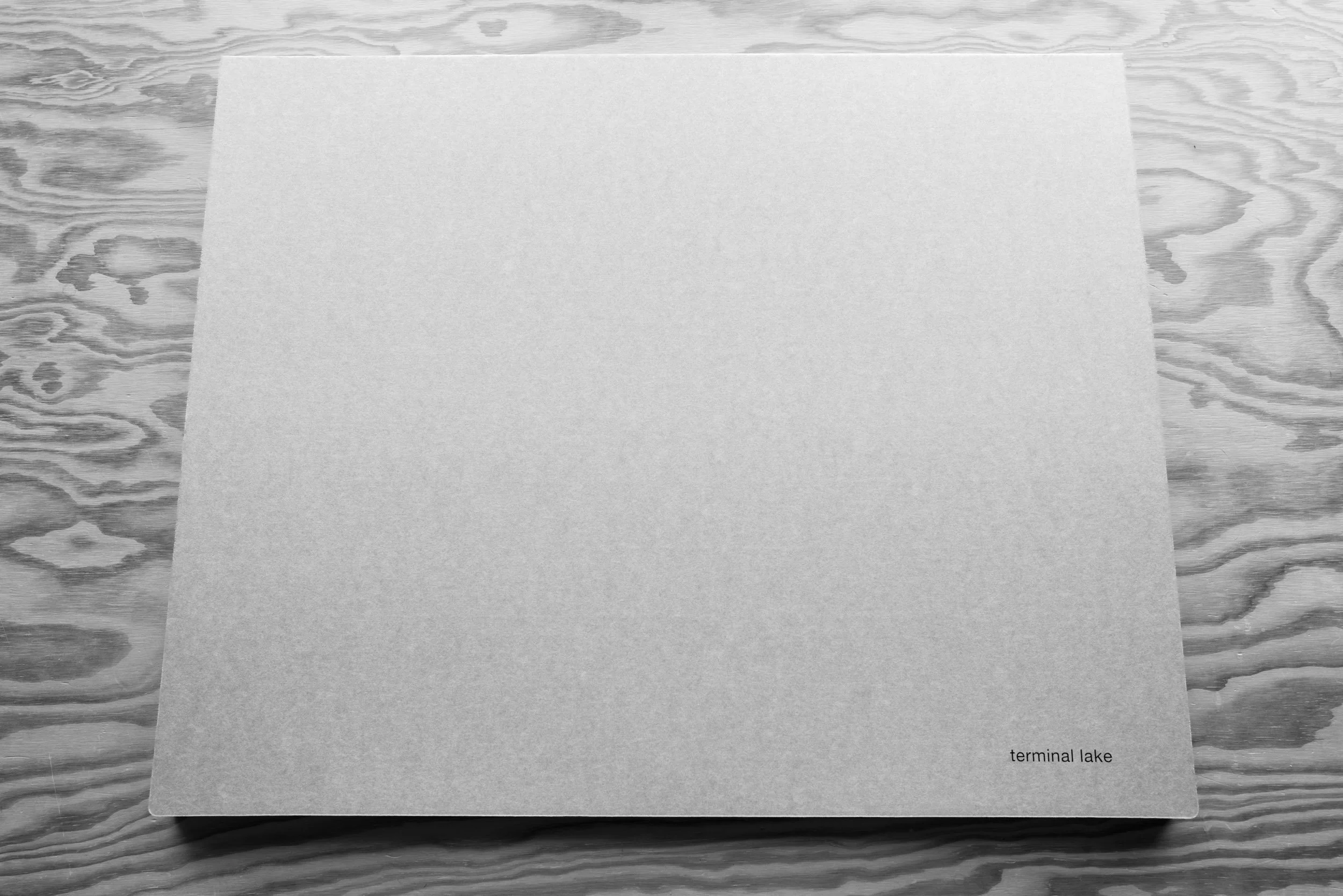 A gray piece of paper with the words 'terminal lake' written on it, placed on a textured wooden surface.