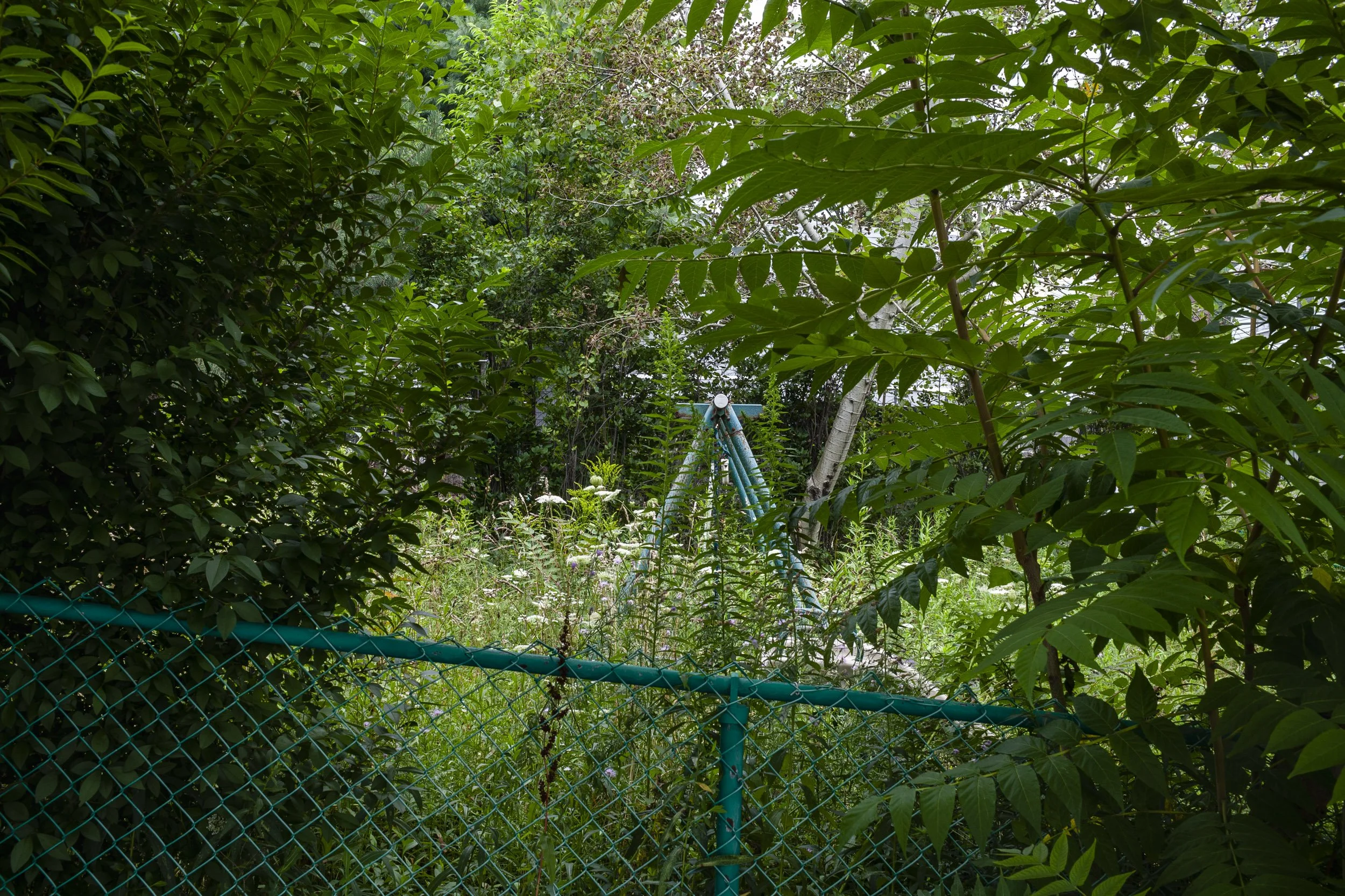 10 — anthracite coal region of Pennsylvania