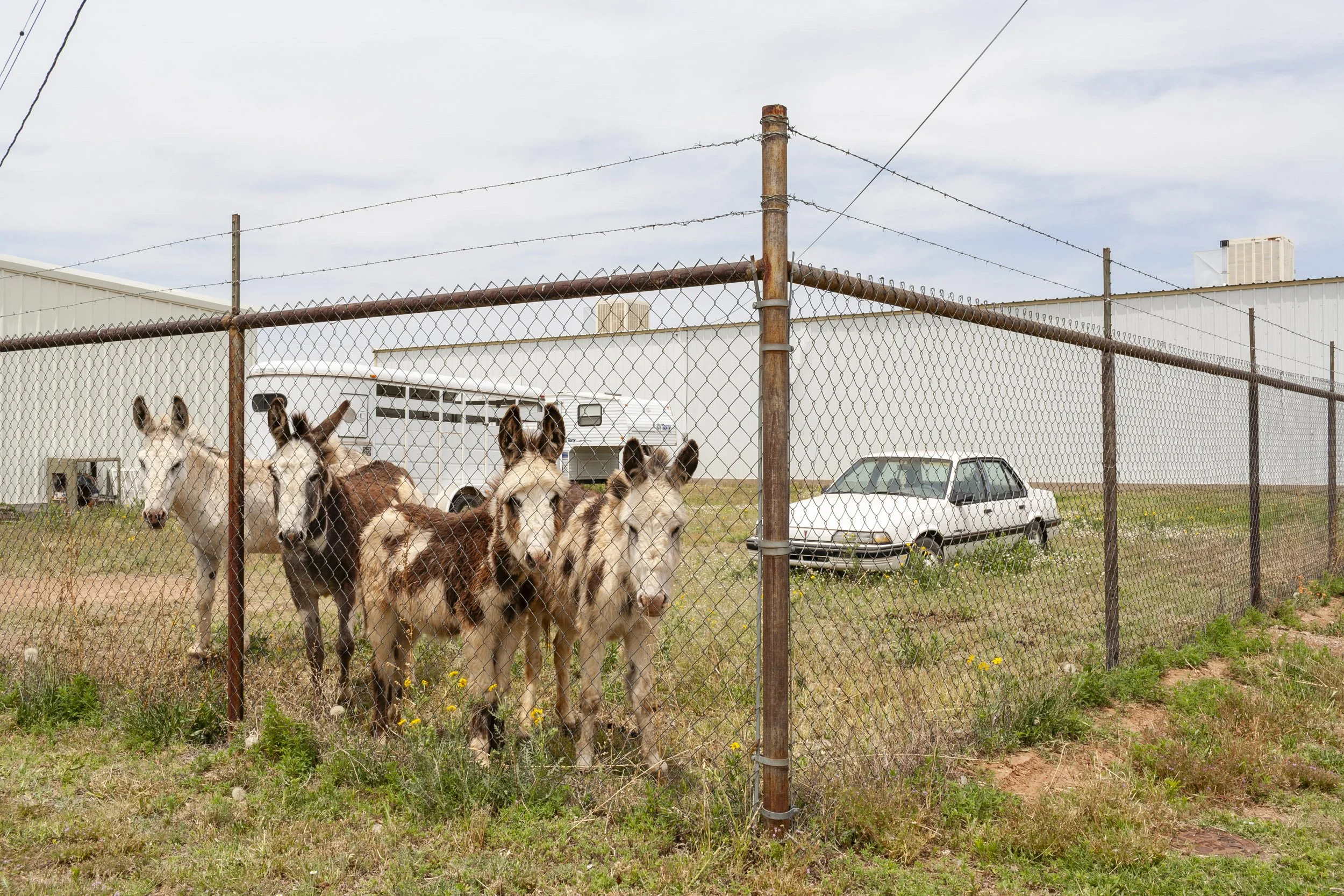 12 — Clovis, New Mexico