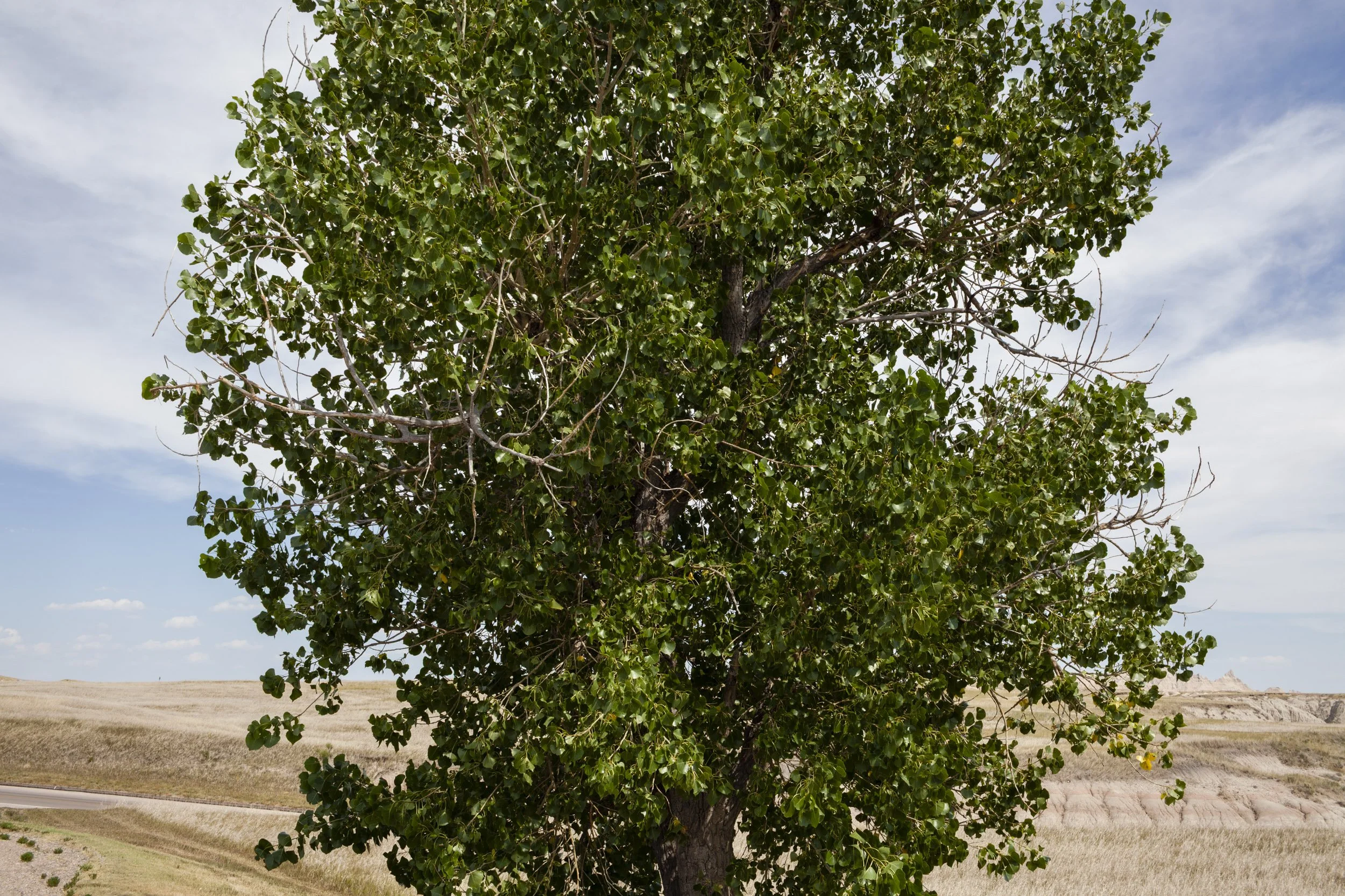 09 Badlands, South Dakota