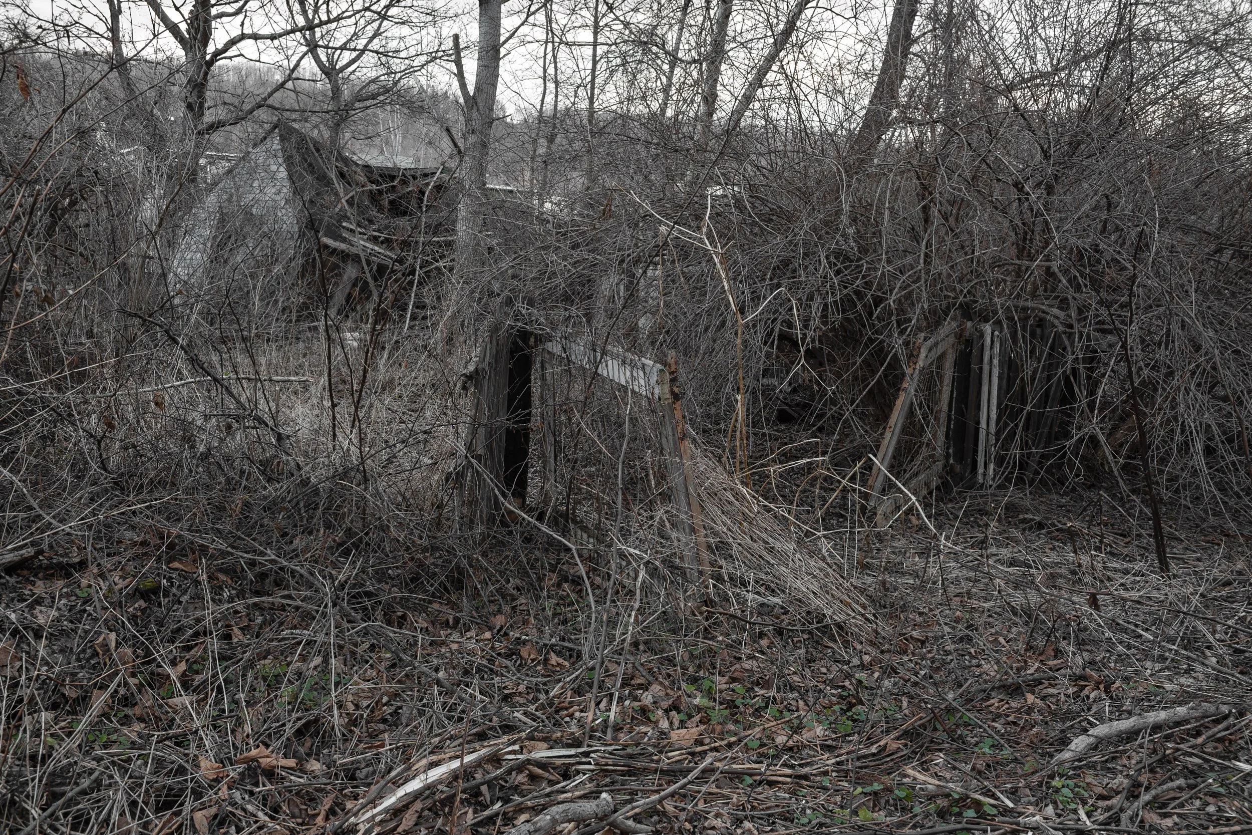 11 — anthracite coal region of Pennsylvania