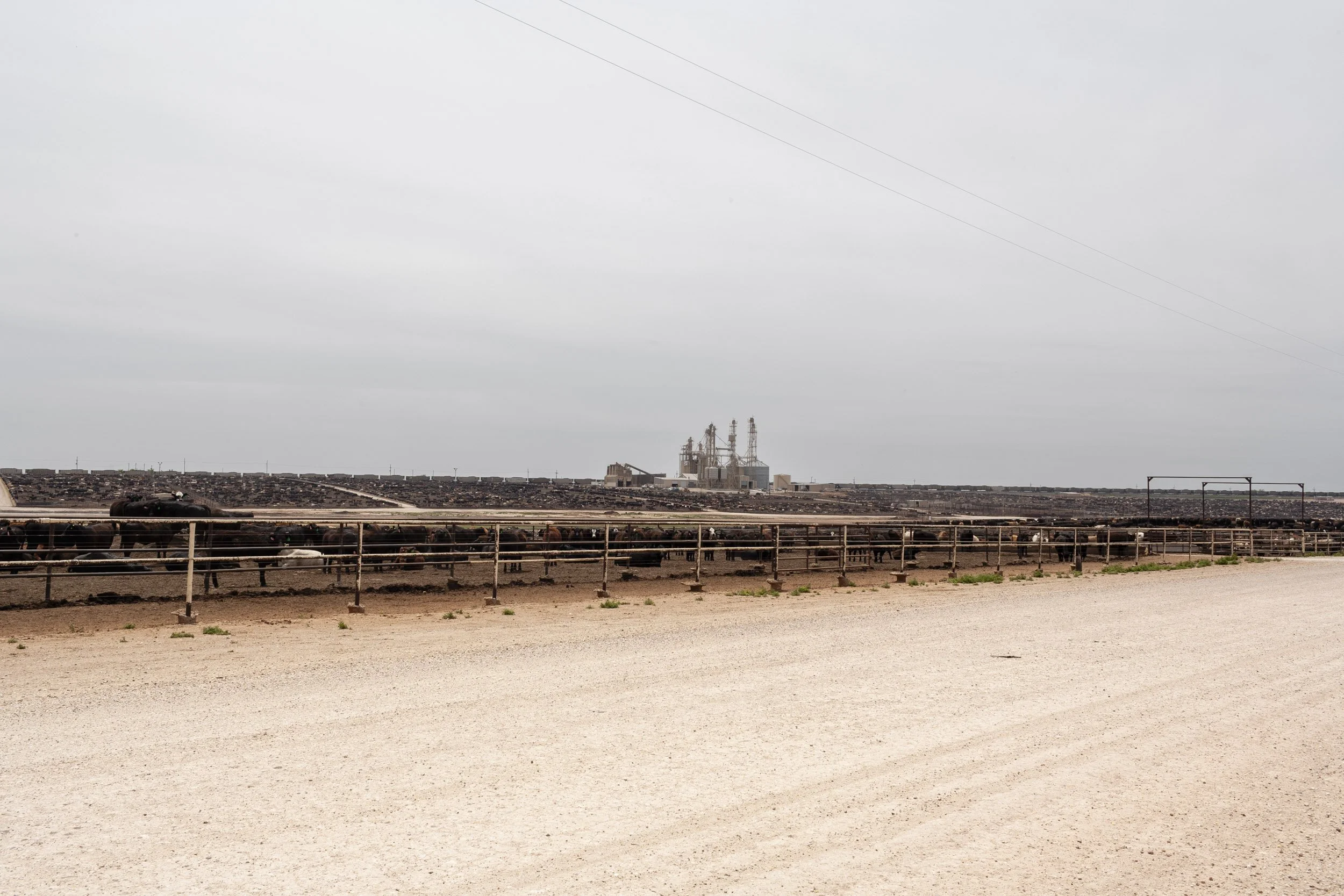 04 — Bovina, Texas