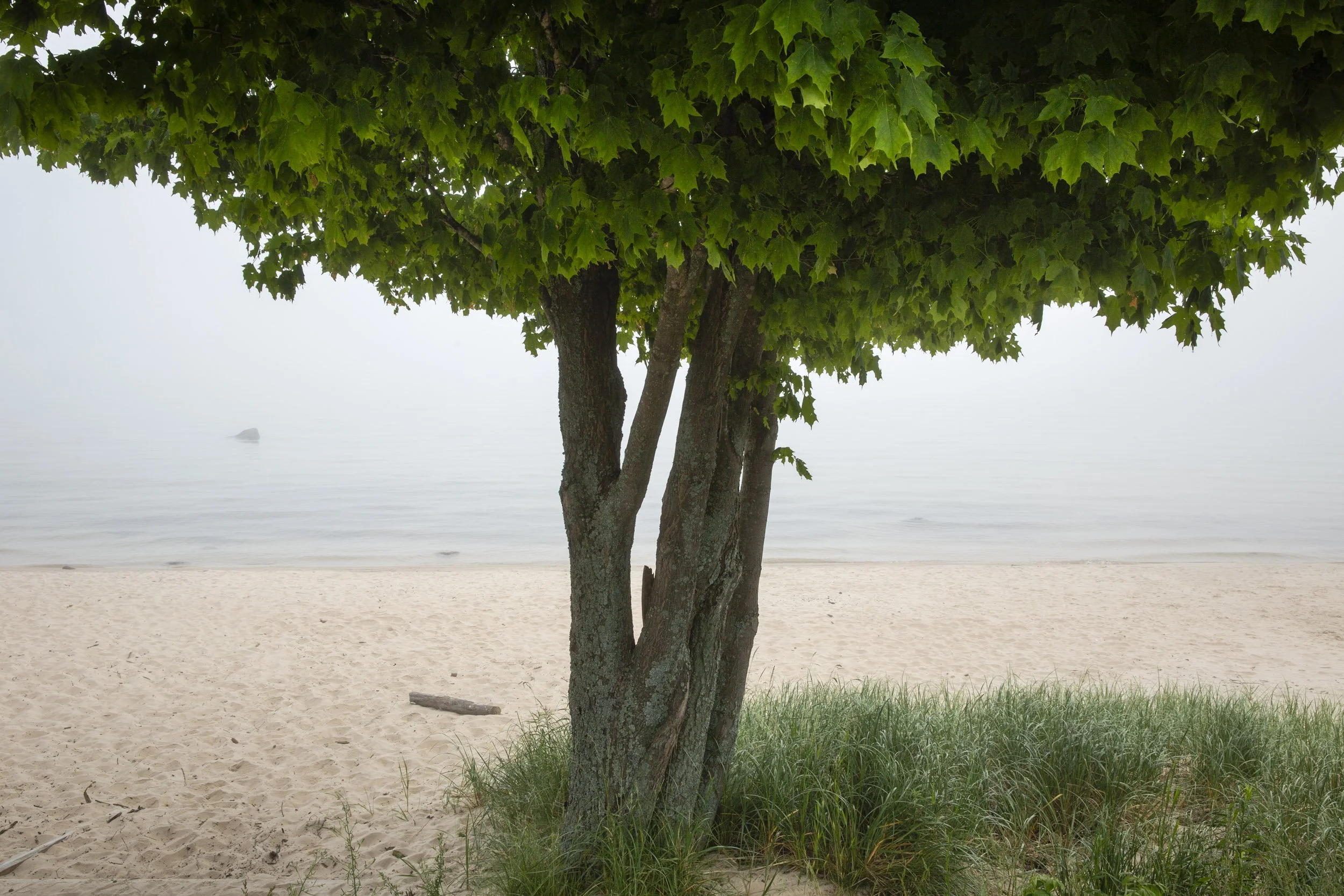 28 — Lake Superior, Whitefish Bay, Paradise, Michigan