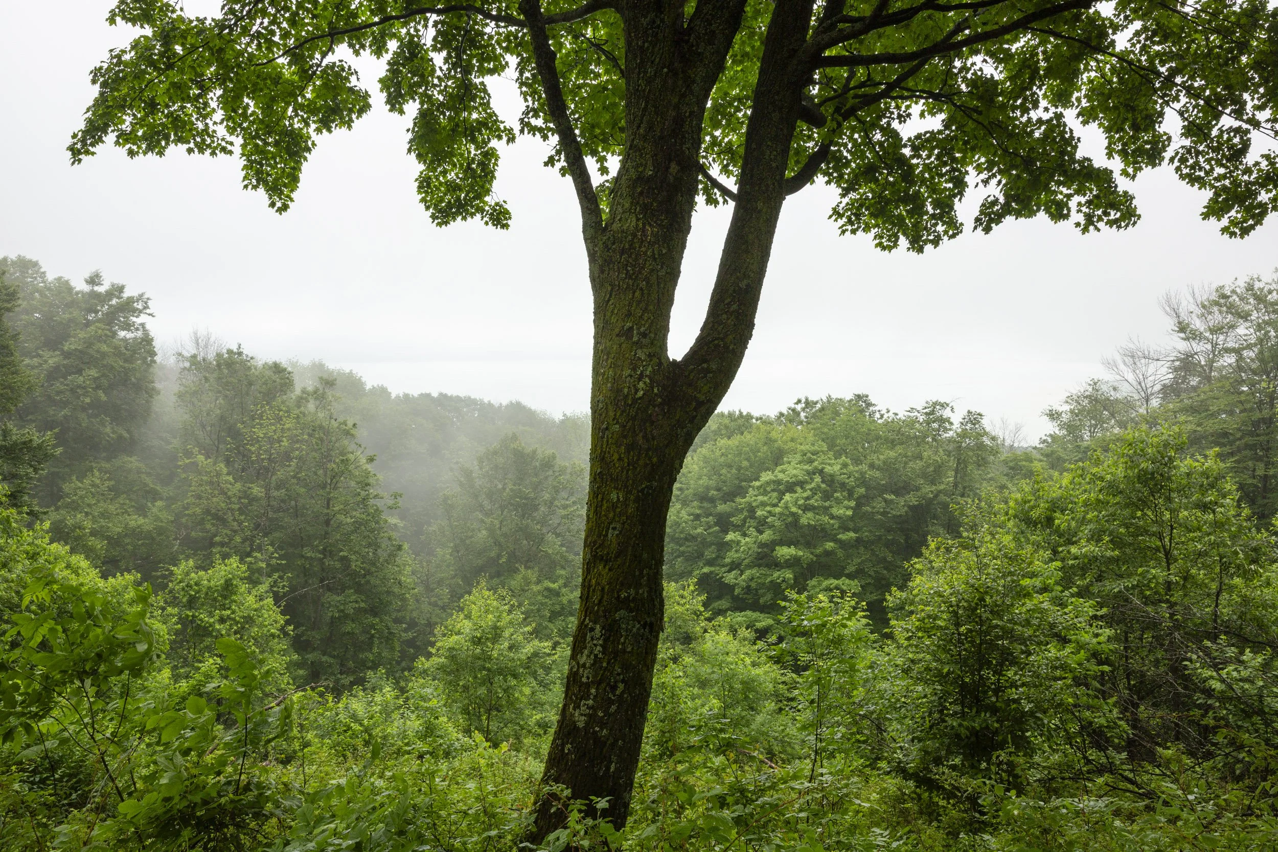 05 — Lake Michigan, Sleeping Bear Dunes National Lakeshore, Michigan