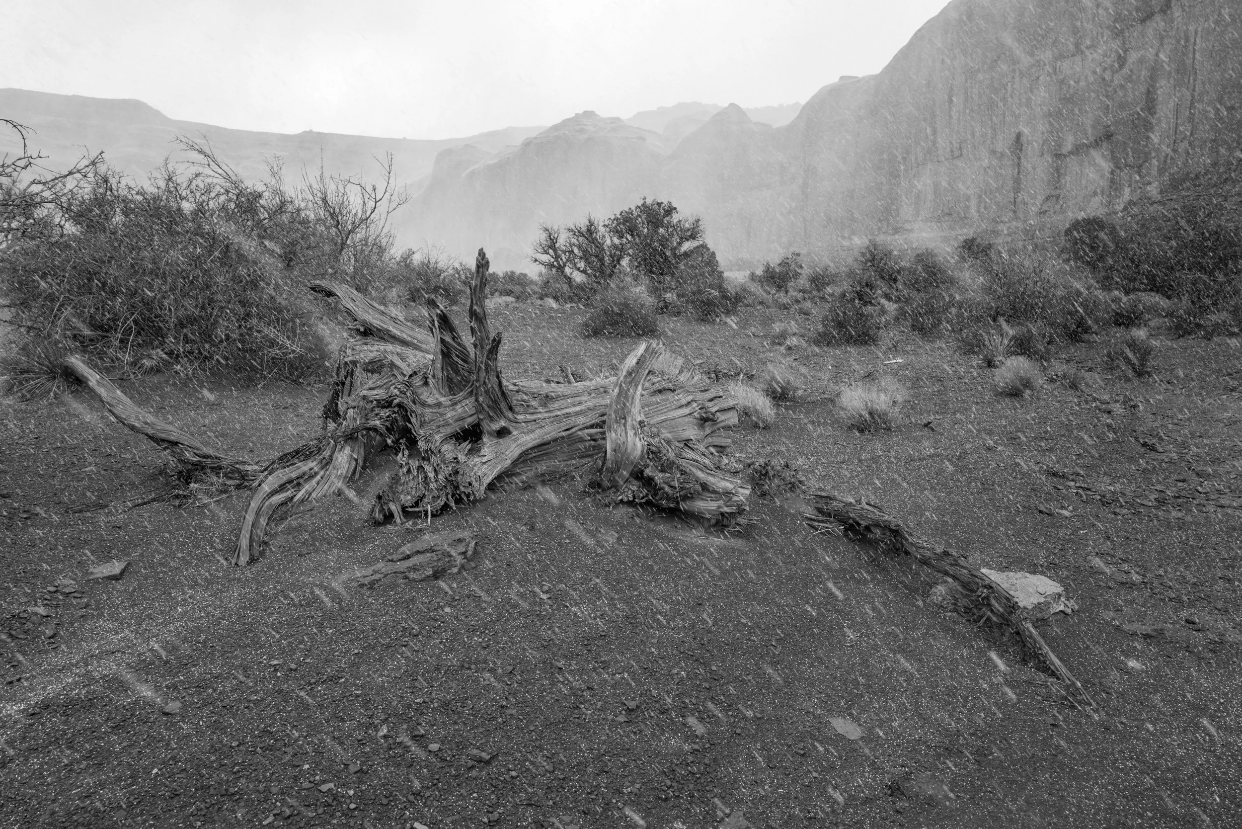 07 —  Oljato-Monument Valley, Arizona