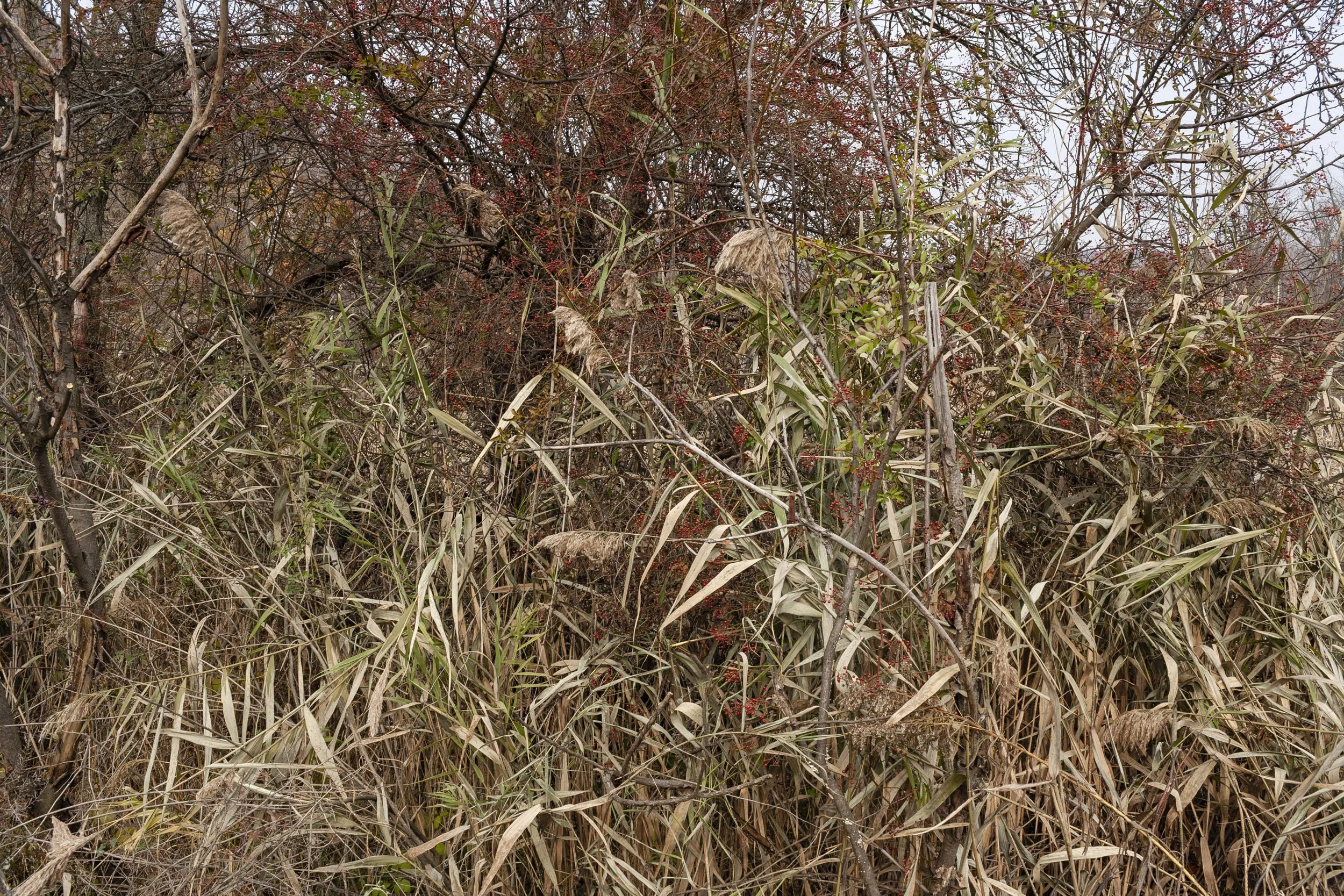 05 — anthracite coal region of Pennsylvania