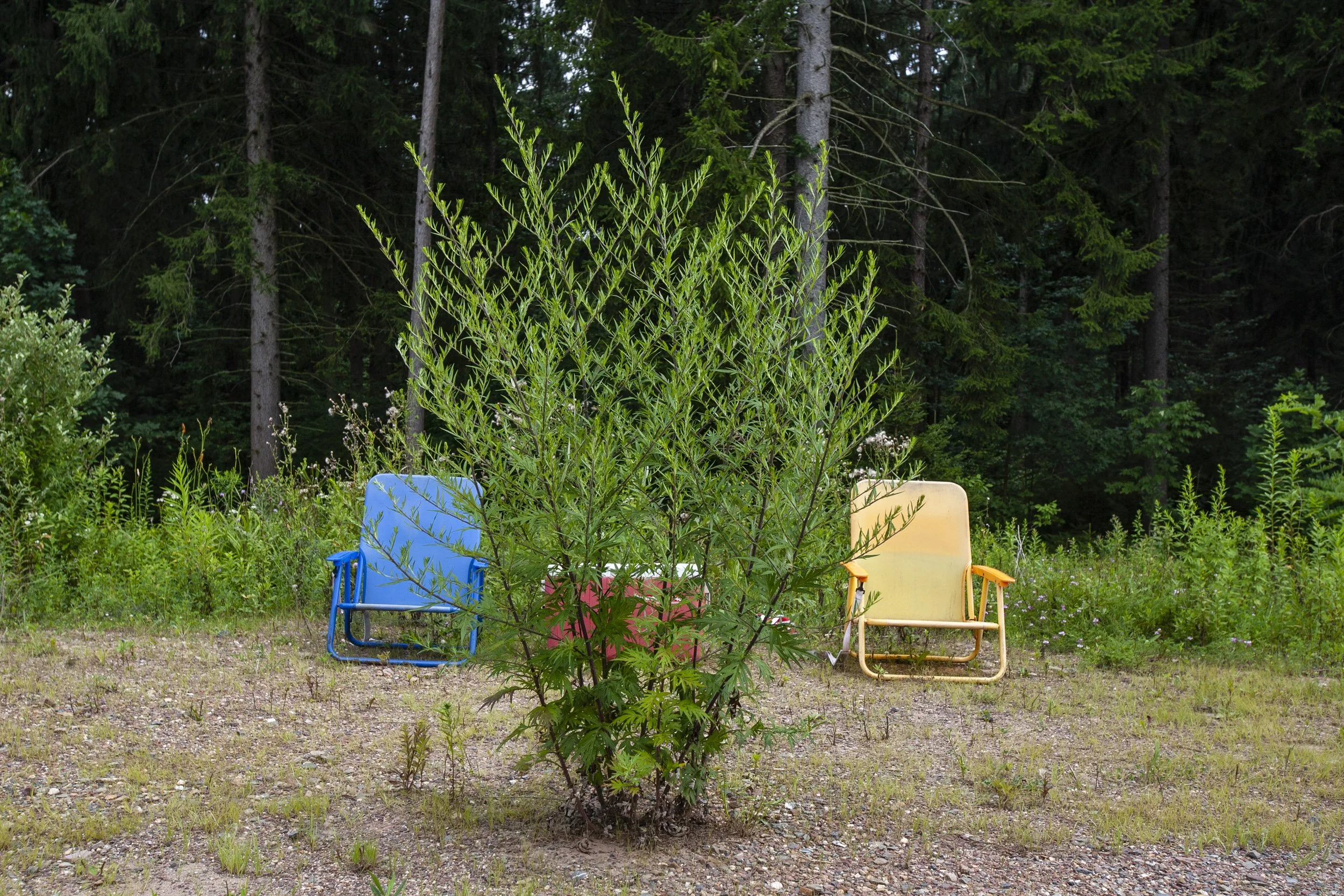 01 — anthracite coal region of Pennsylvania