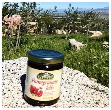 Pom Jelly with view.JPG