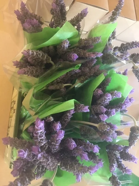 lavender - fresh - spring market.JPG