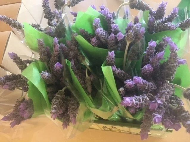 lavender+-+fresh+-+spring+market.jpg