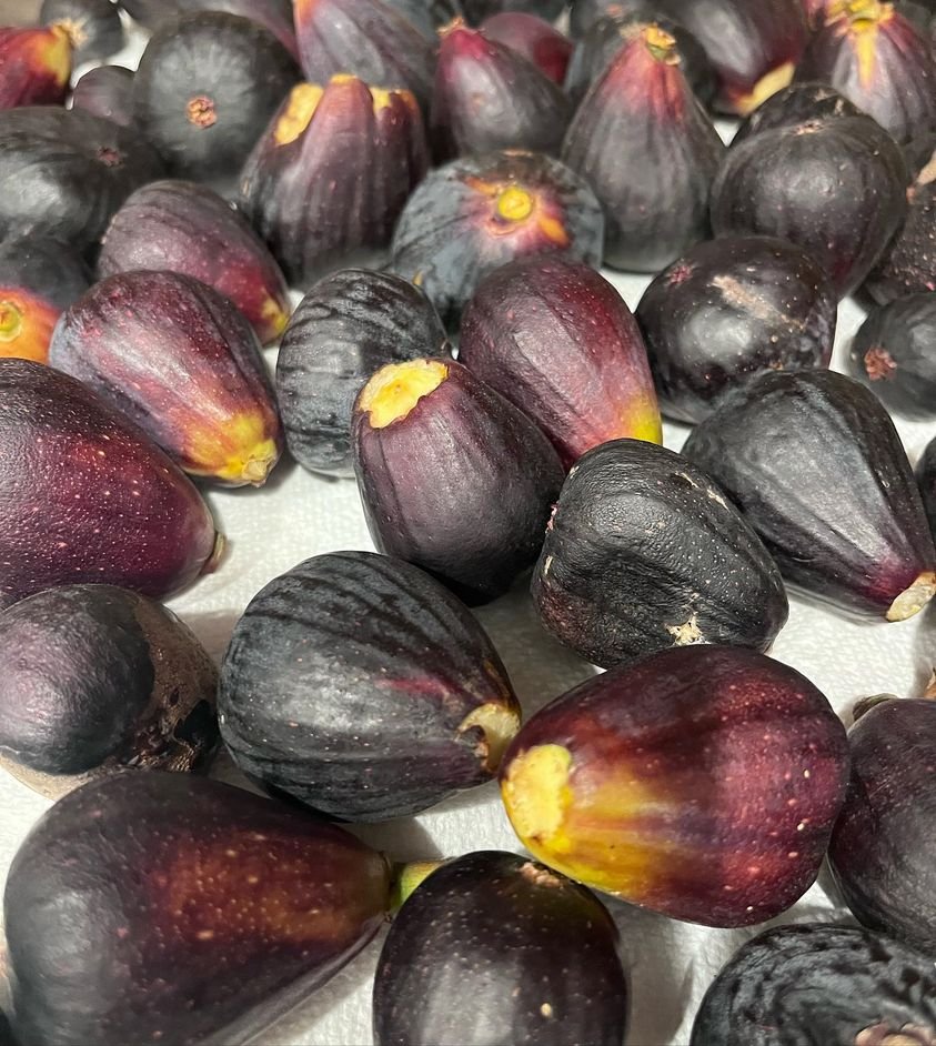 figs 3.jpg