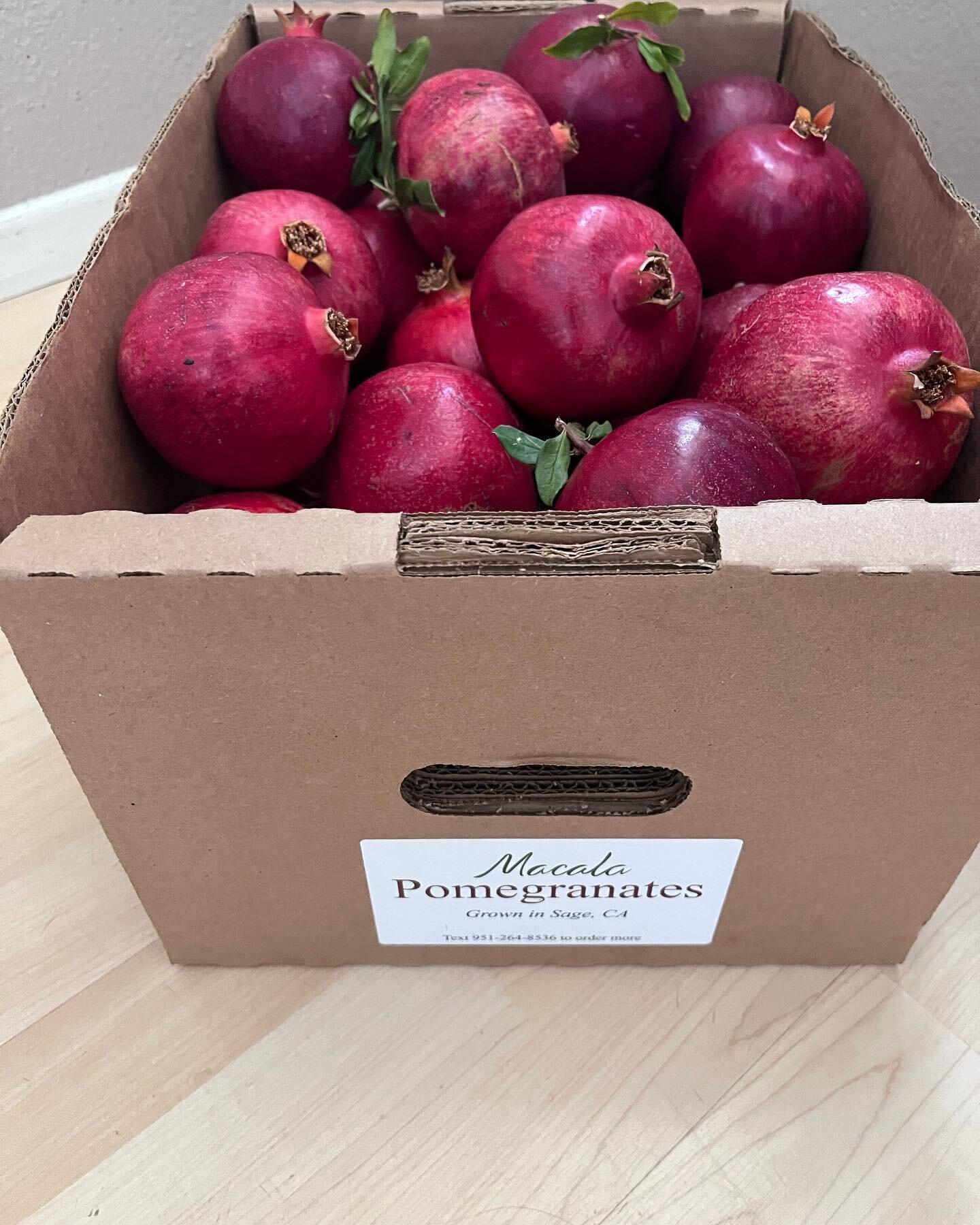 Sunday 12/31 and Monday 1/1 from 10 am to 5 pm. End of season pomegranates on sale $20 per 25 lb. Box for pick up. Pre-pay online macalaorchards.com/shop for free local pick-up or pay cash or Venmo at pick-up. Look for directional signs on the corner