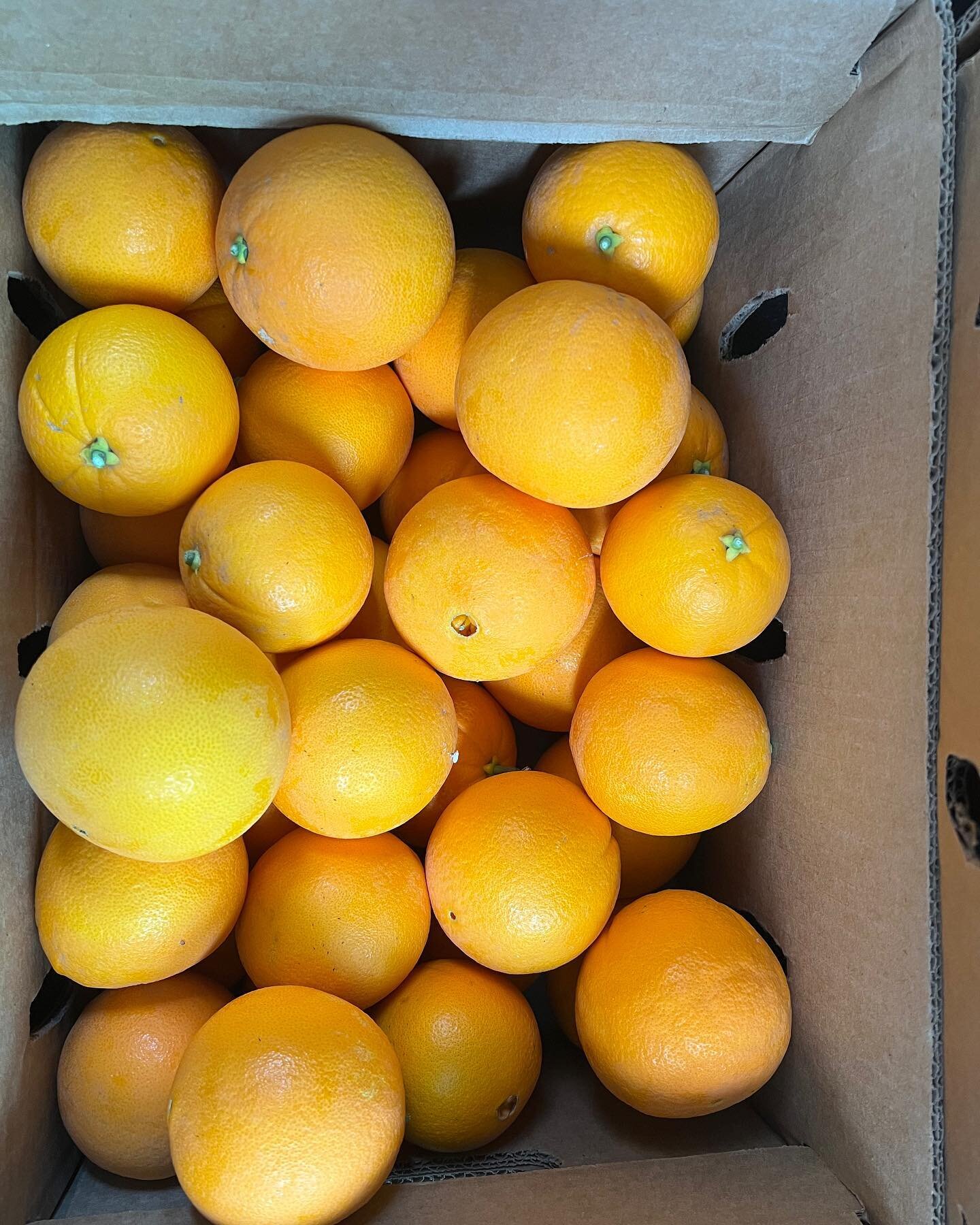 Tomorrow 9 am - 2 pm we will be at the Sage Farmer&rsquo;s Market at 38855 Batz Road, Hemet 92543 and in addition to our regular products will have oranges, grapefruits, several fresh greens and peppers.