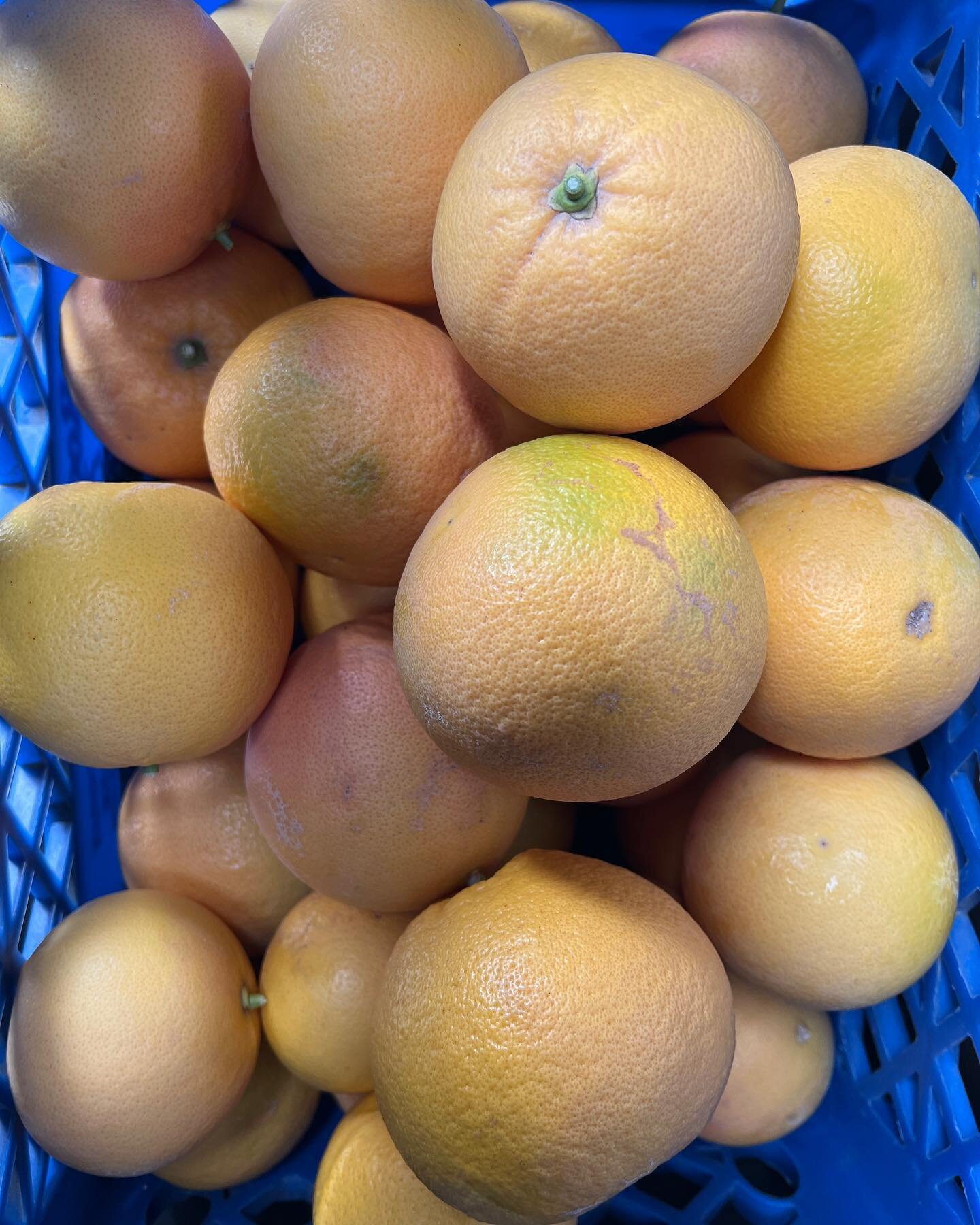 Grapefruits and oranges now available on our website for local delivery or pick-up. Our minimum order for delivery is $25. If you would like to pick-up from us there is no minimum, we will just need to schedule a pick-up time. For free delivery, both