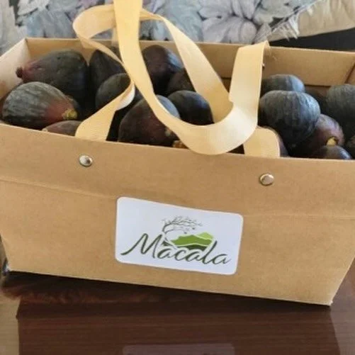 It&rsquo;s fig season! Head to the link in our bio to purchase for local pick up or delivery. We are harvesting fresh daily and will be for about of month as the harvest season lasts. And for some inspiration on why you need figs, see the last slide 