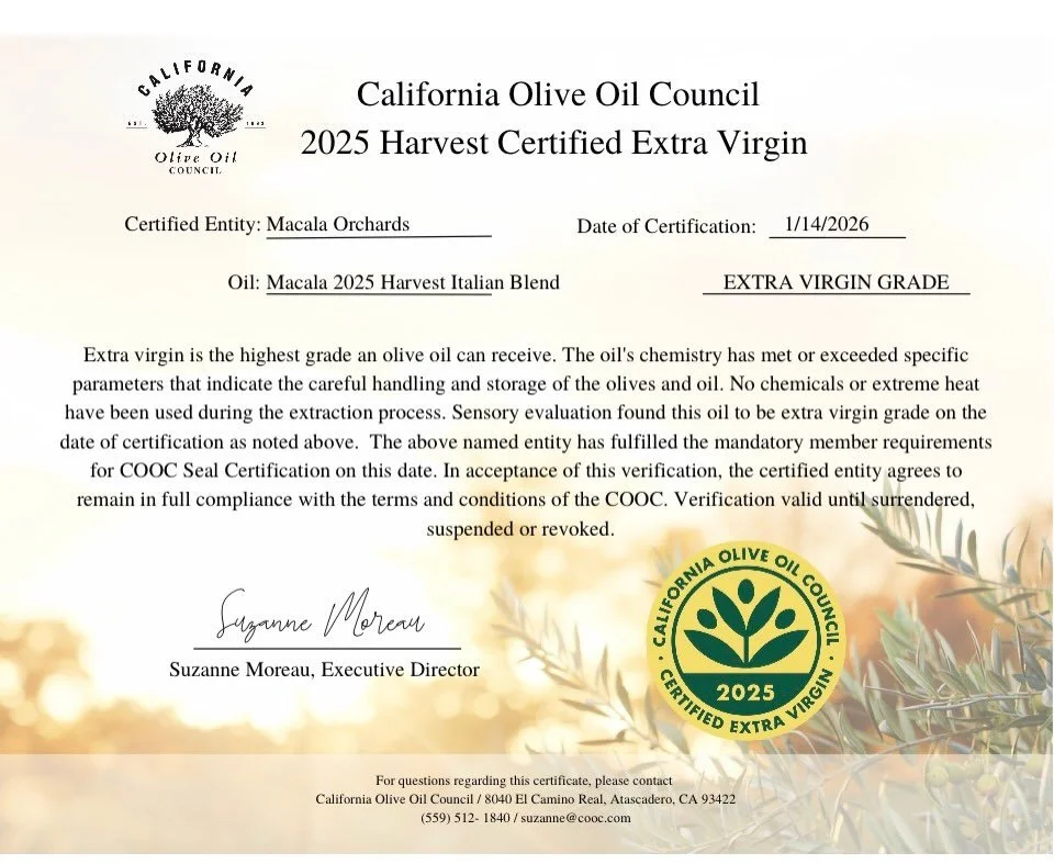 If you have been awaiting the release of our 2025 Harvest EVOO the wait is over! Due to a lower yield year we have one blend (Italian Blend) and one size 250ml. It is officially for sale on our website (macalaorchards.com/shop) and will be available 