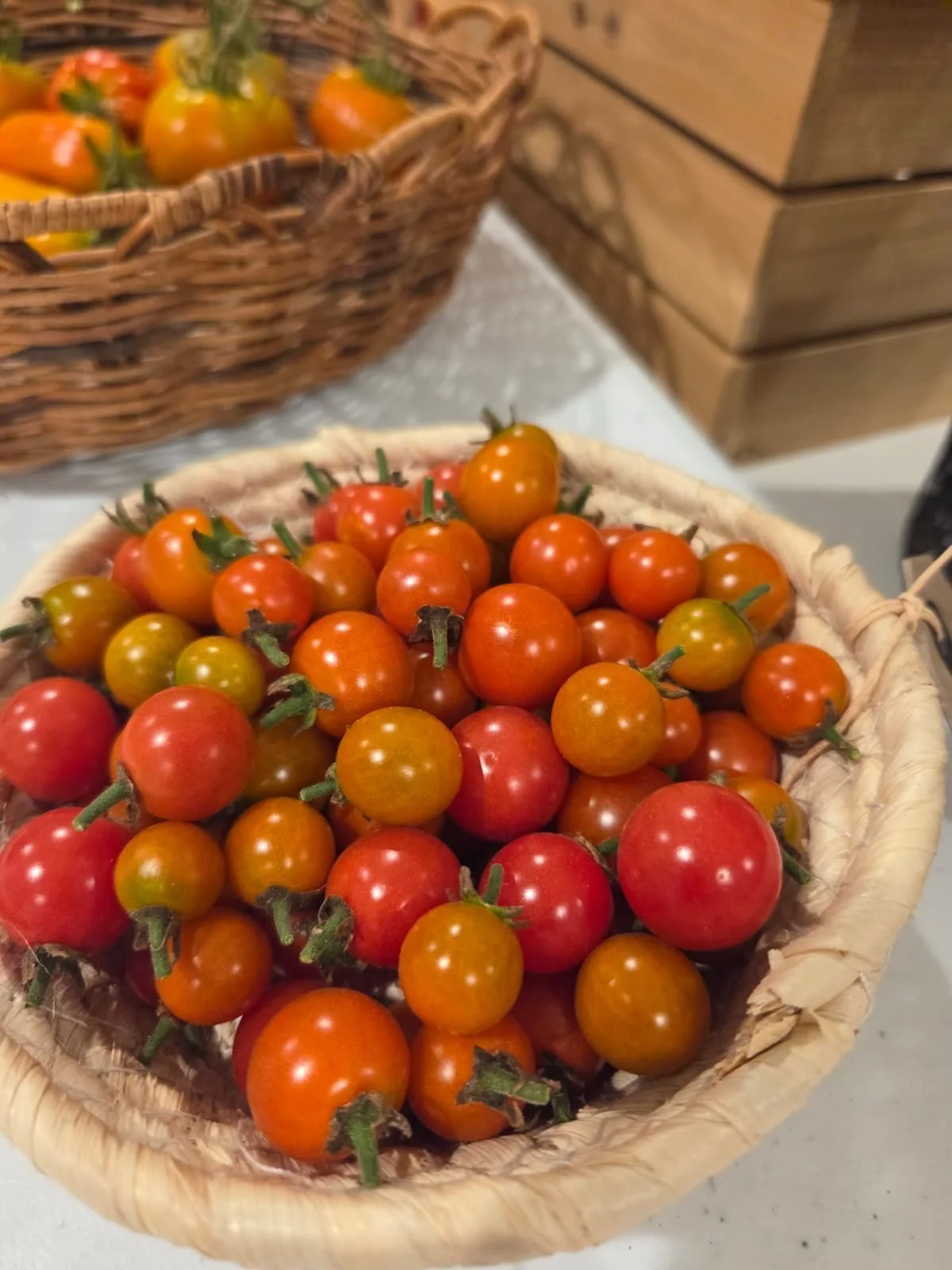 More pictures of our beautiful tomatoes and what we have available for sale right now!

Link in bio to purchase.

#FamilyFarm #CaGrown