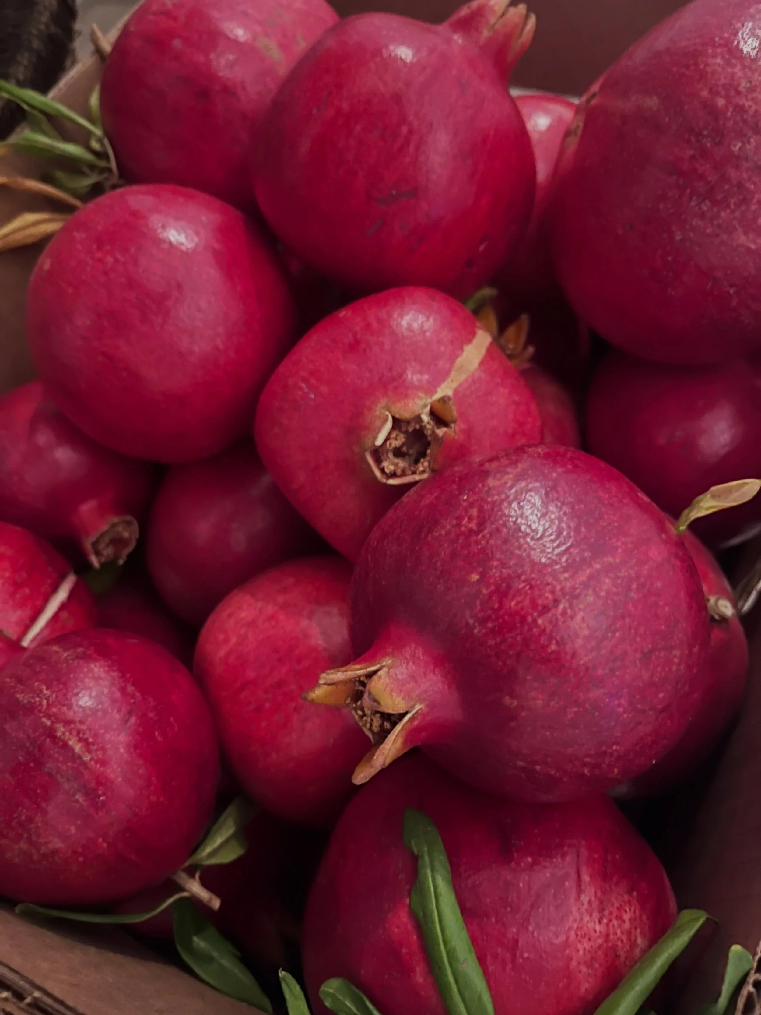 Our pomegranate season has begun! We currently have small pomegranates for sale on our website but be on the lookout for medium, large and bulk orders to be available as the season progresses!

🔗in bio 
#pomegranates