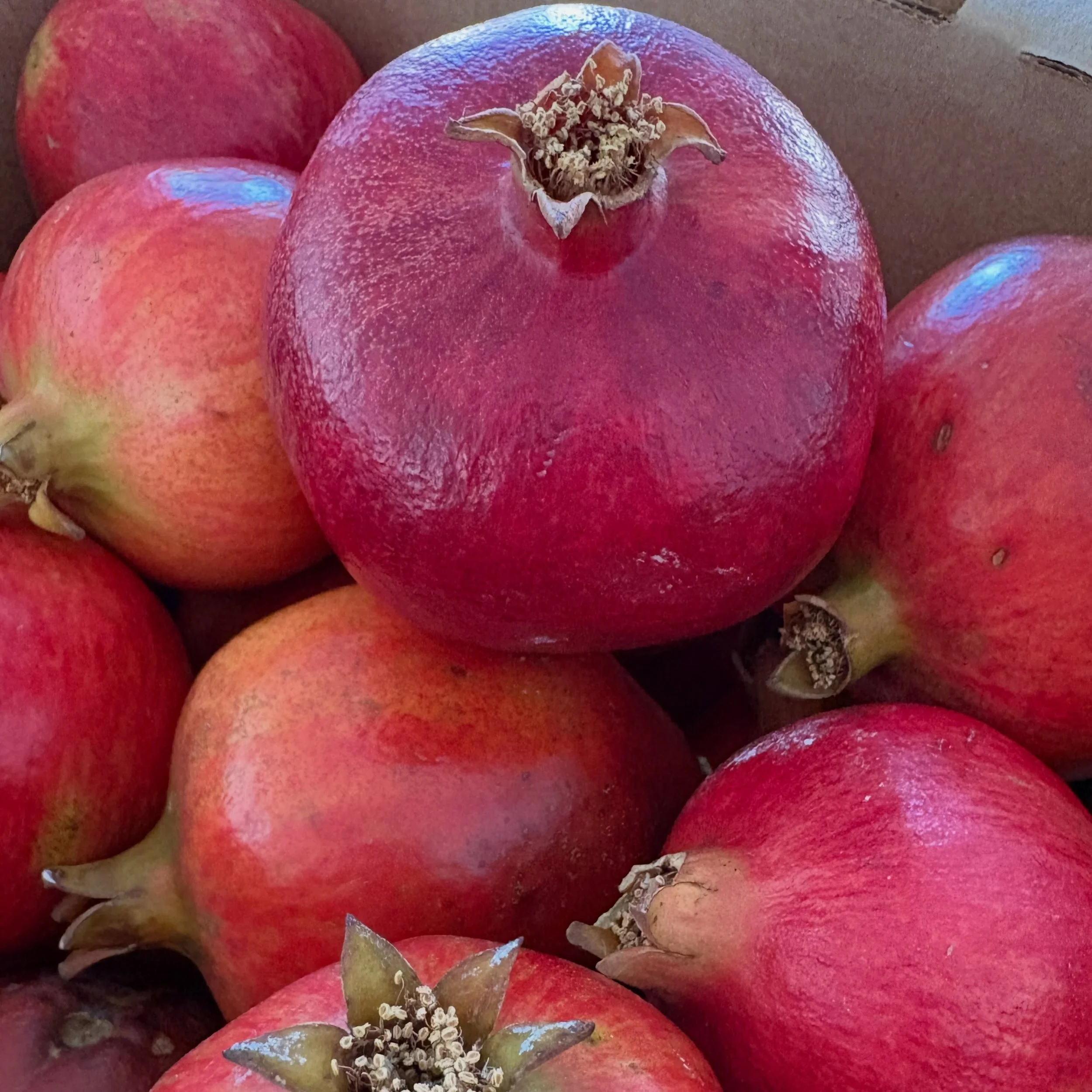 Pomegranates are currently available on our website, offered in bulk ($28 for a 25 lb box) or per pomegranate ($2 medium and $3 large).

🔗in bio

We offer FREE delivery for a $25 minimum order in Riverside, San Bernardino and North Orange County. We