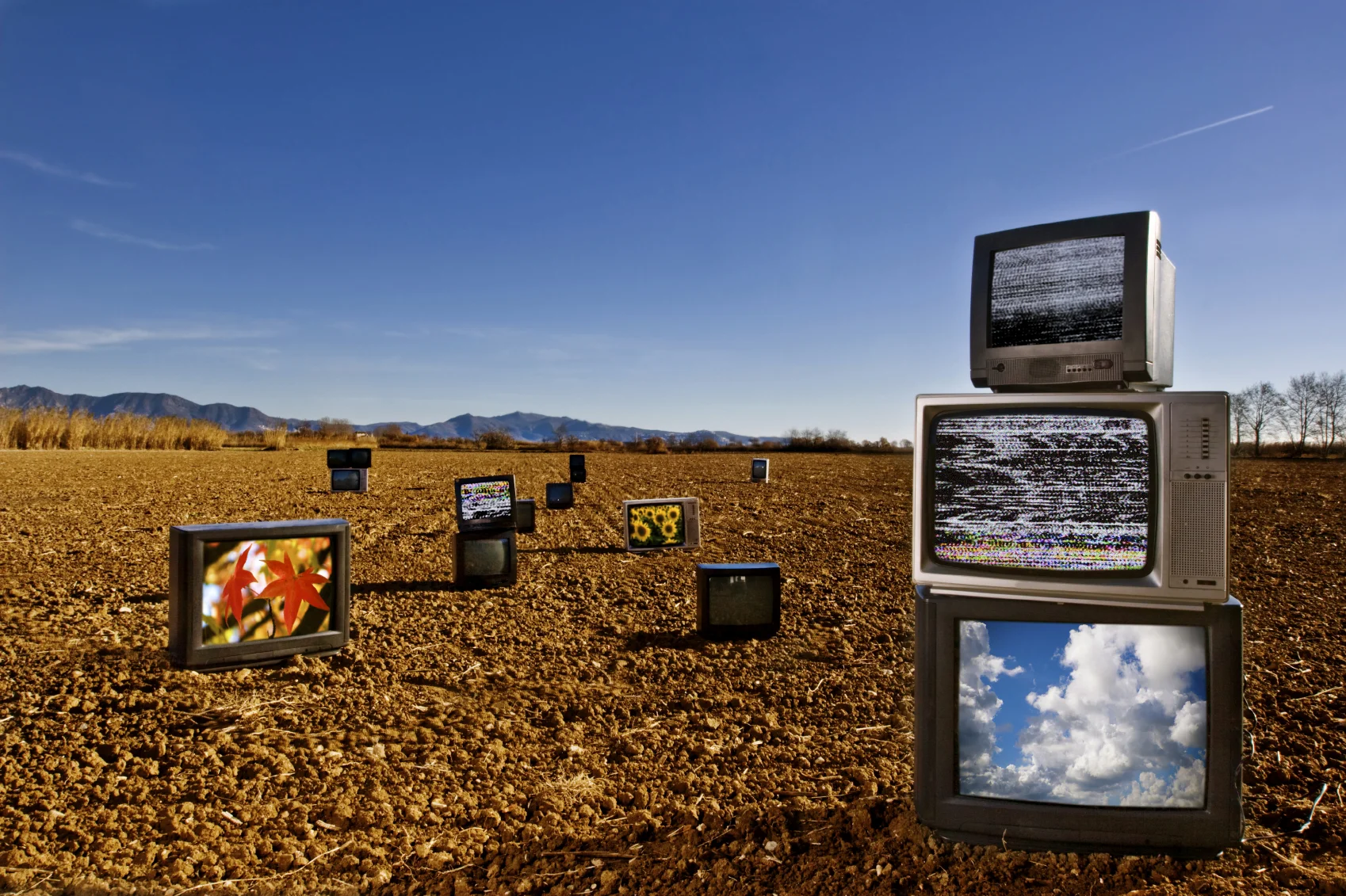 iStock_000004979841Medium.jpg