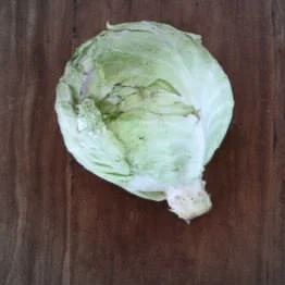 Green cabbage highlighted-2.jpg