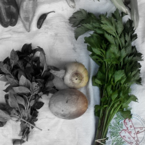 Celery highlighted.jpg