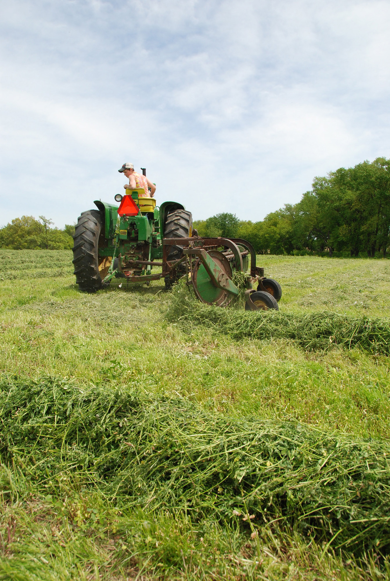 Raking hay 17.jpg