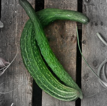 Long cucumber highlighted.jpg