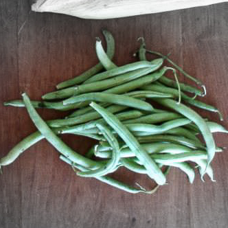Provider beans highlighted.jpg