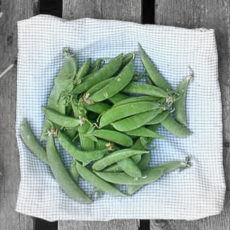 Spring onion highlighted.jpg