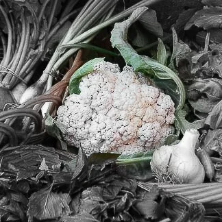 Cauliflower Highlighted-2.jpg