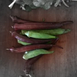 Cajun jewel okra highlighted.jpg