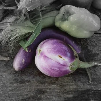 Striped eggplant highlighted.jpg