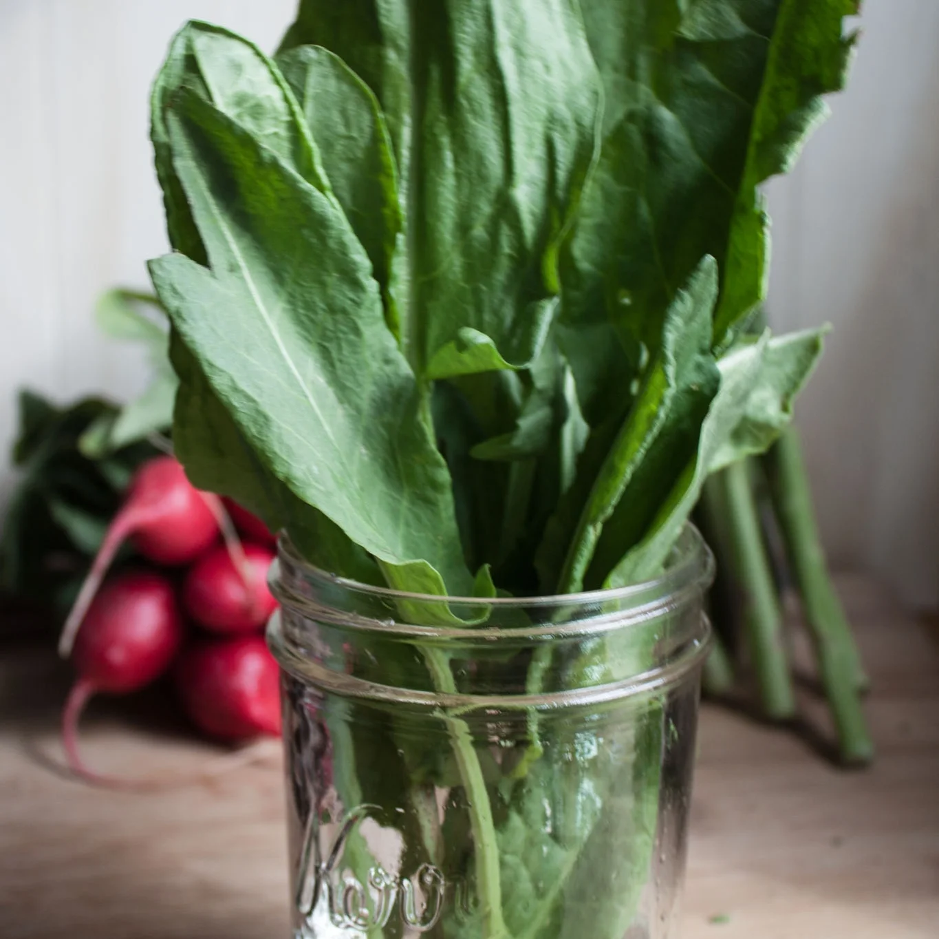 Bibb lettuce highlighted.jpg