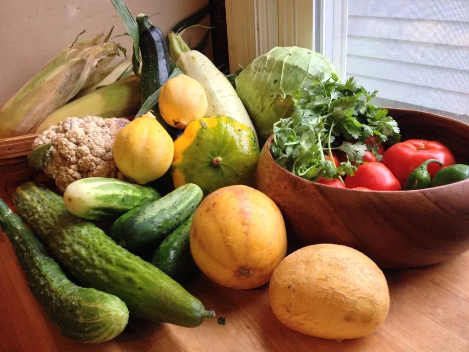 Recipe Links: Wisconsin Week 13, Chicago Week 11