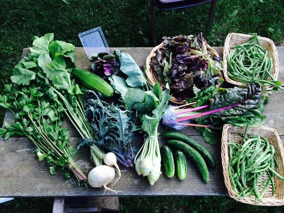 Recipe Links: Week 7