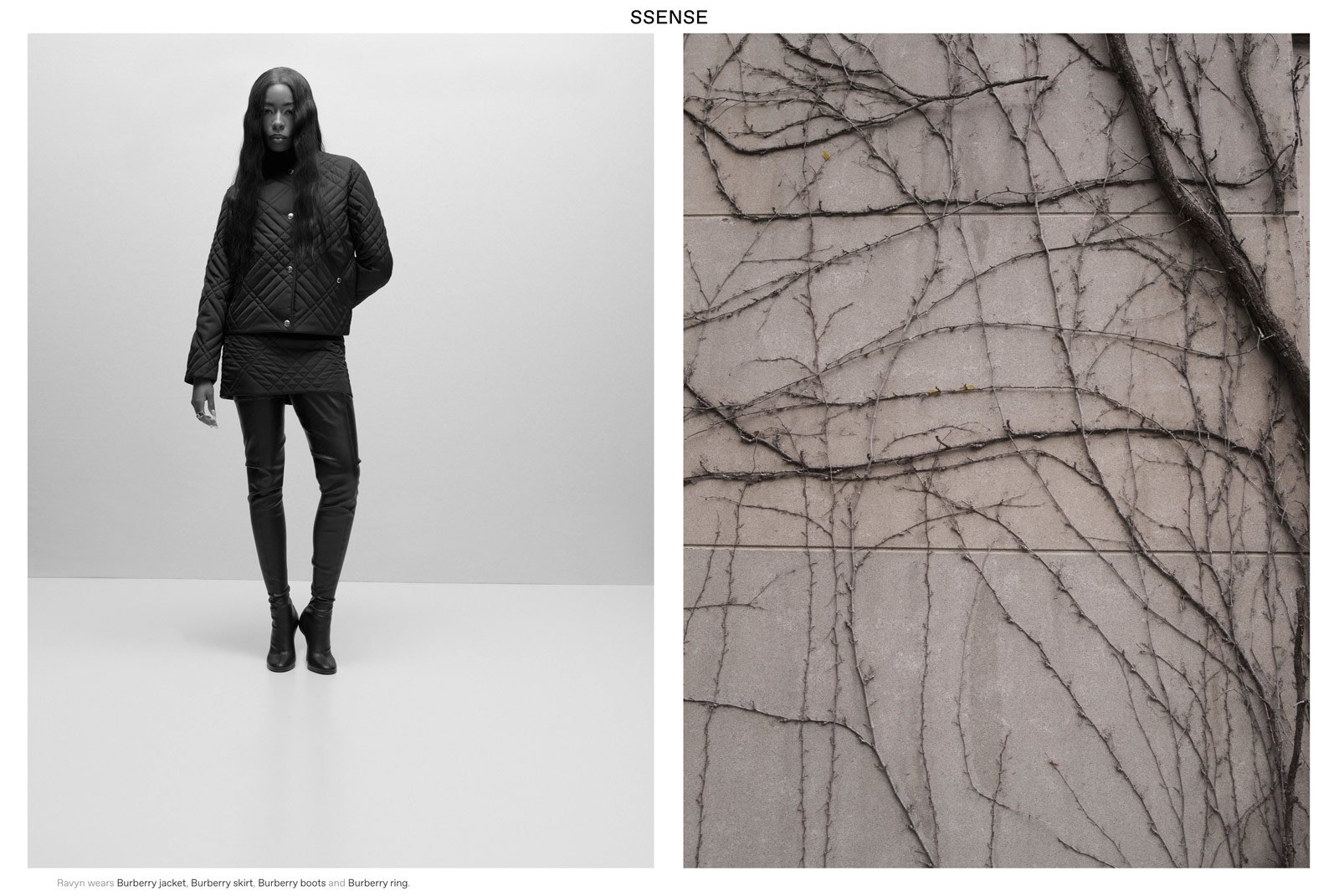 SSense2.jpg