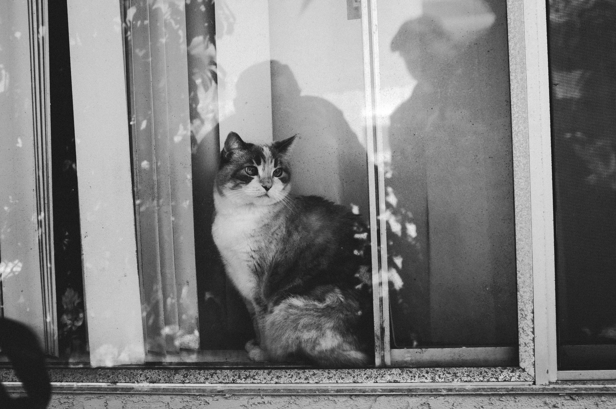 March 26th, 2023 - California - Fuji X100