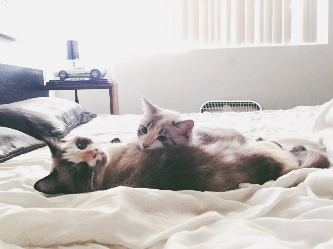 Date Unknown - California - iPhone (Model Unknown)