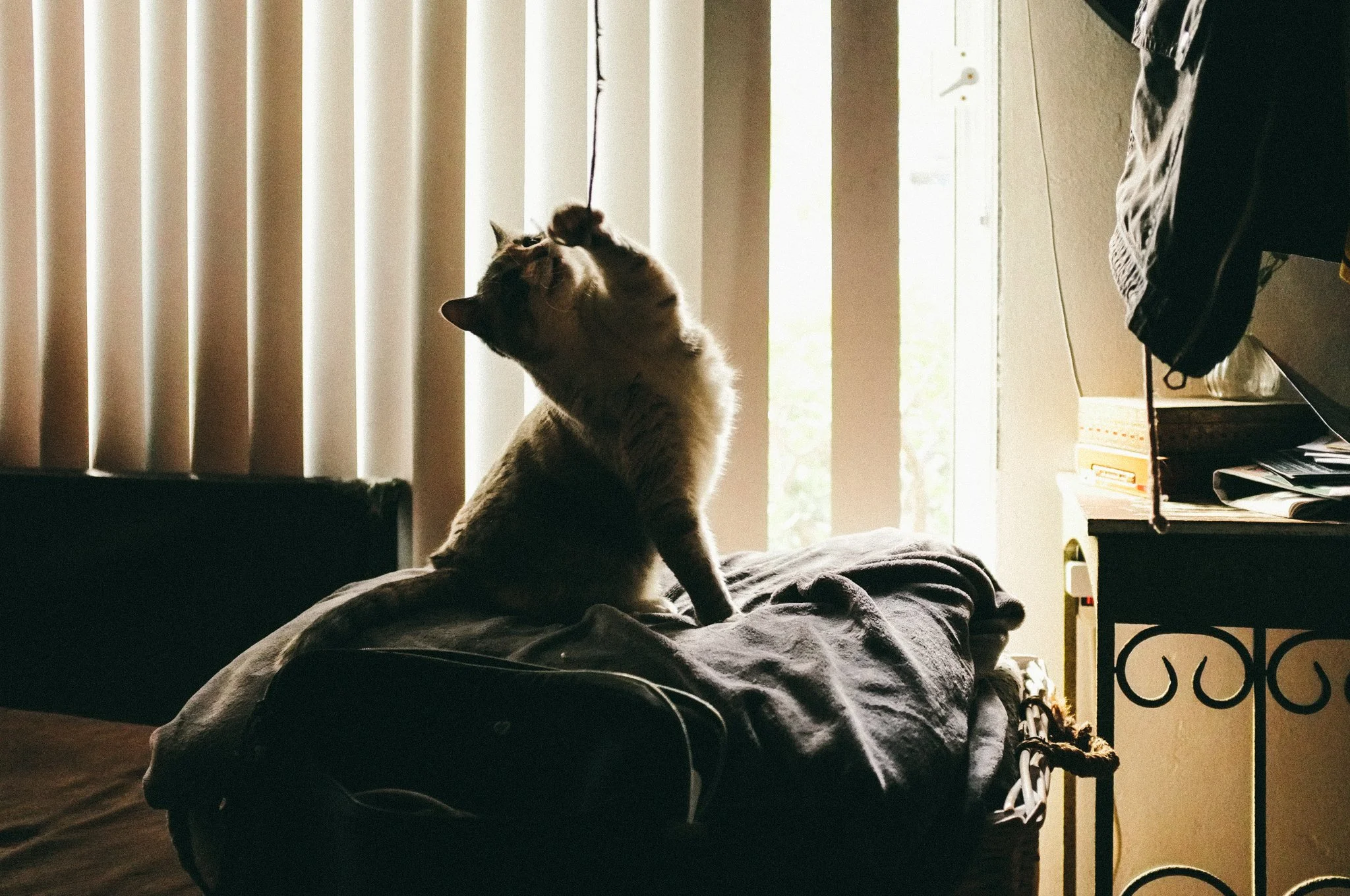 April 2nd, 2023 - California - Fuji X100