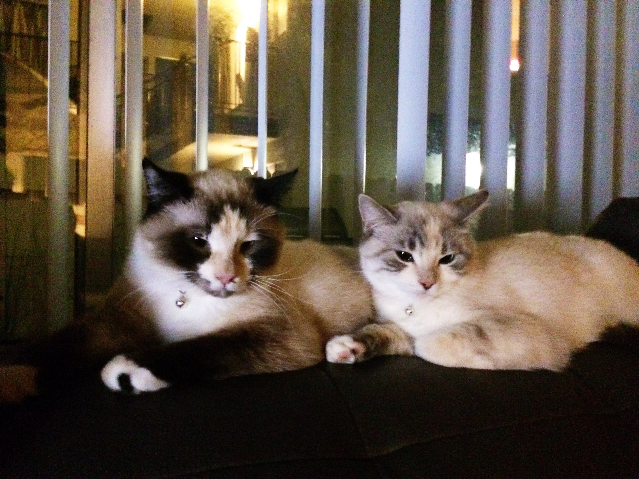 February 22nd, 2014 - California - iPhone 5S