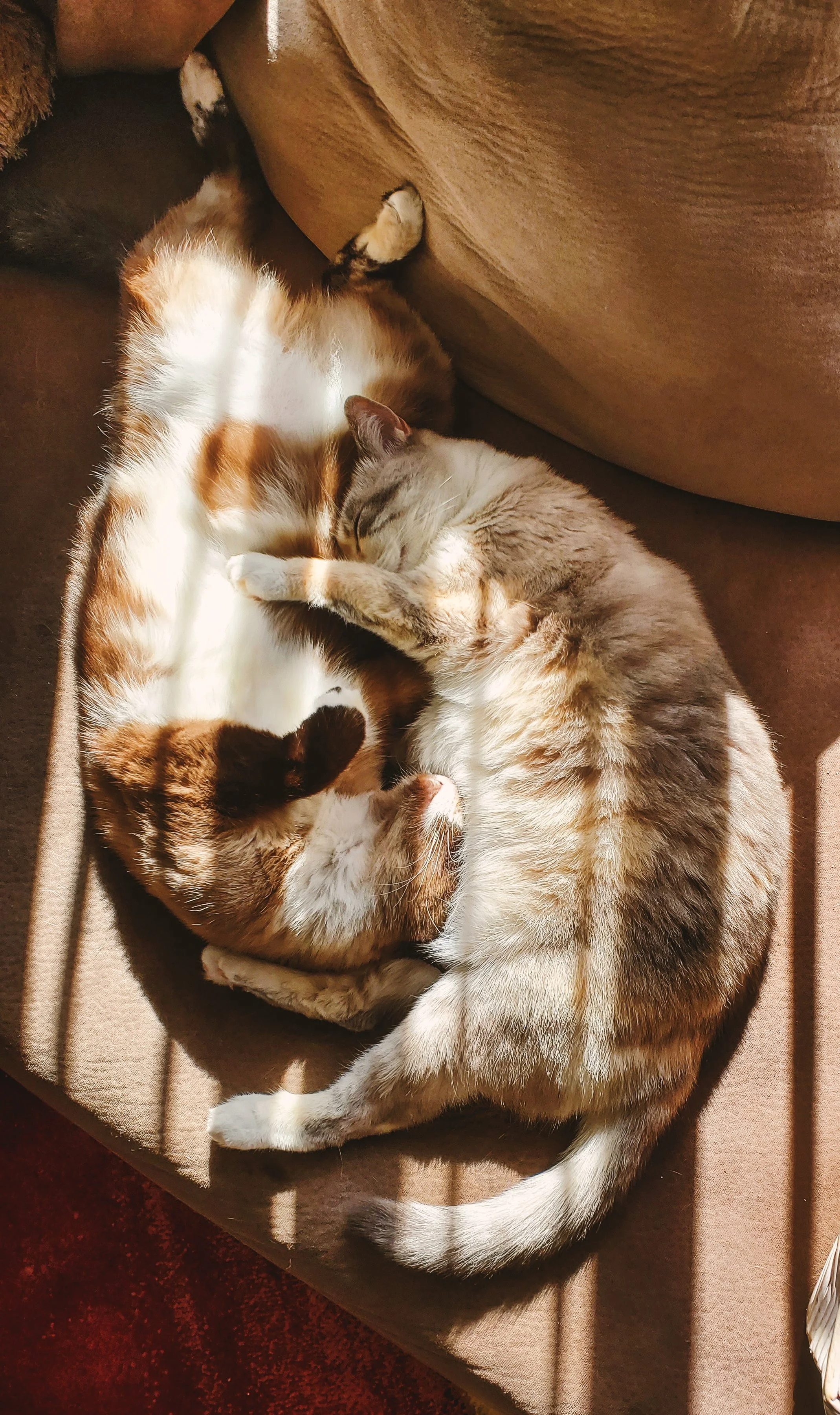 July 9th, 2020 - California - Galaxy Note 10+