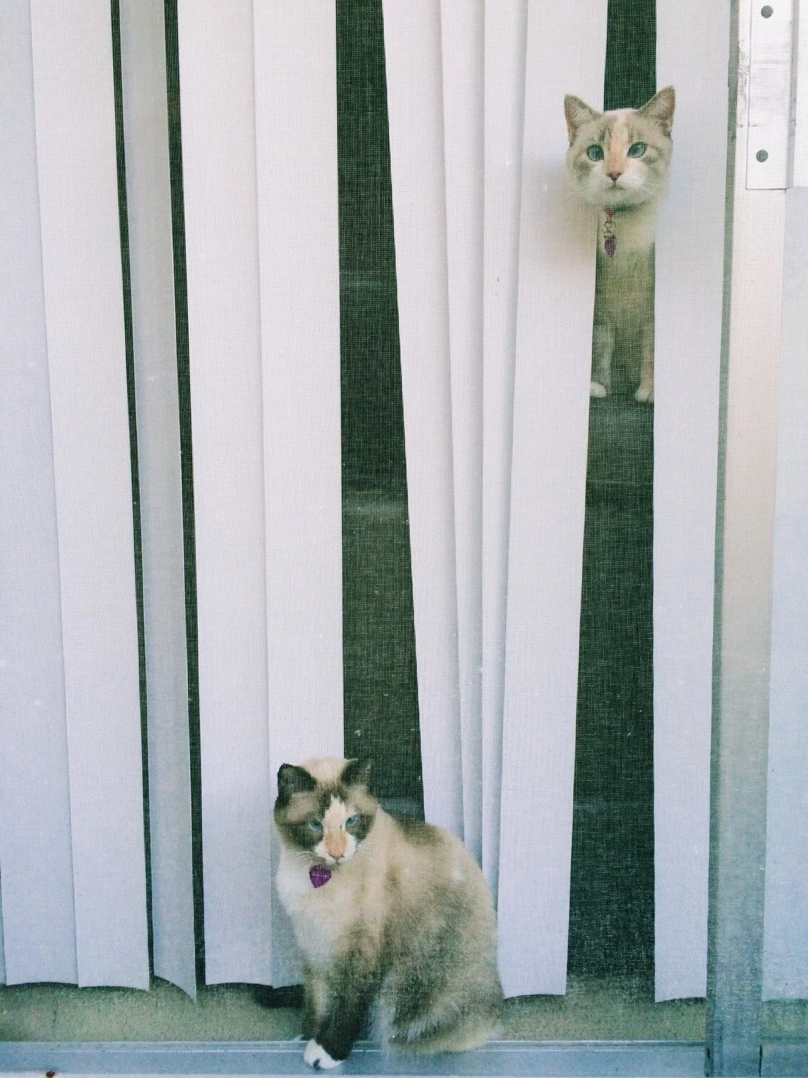 2014 - California - iPhone (model unknown)