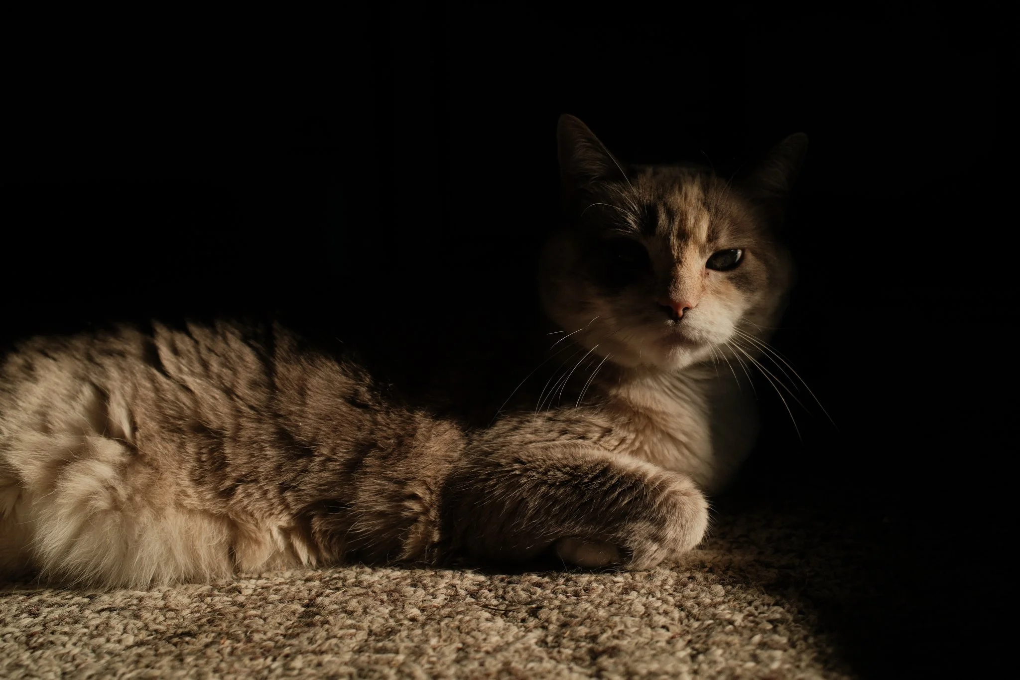 August 5th, 2024 - Ohio - Fuji X100VI