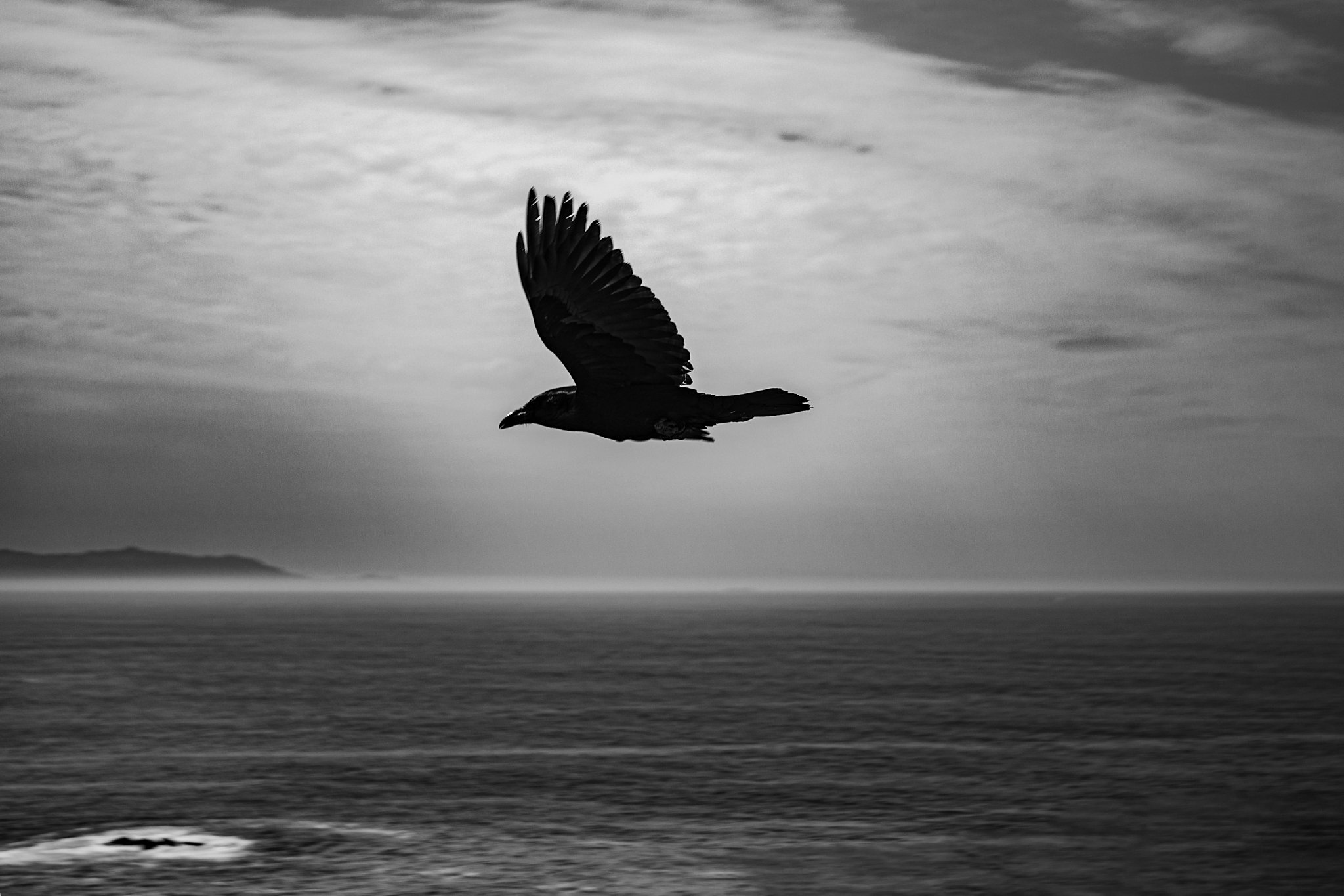 A black and white, fine-art style photograph of a large bird, likely a raven or crow, captured in mid-flight against a minimalist coastal background.