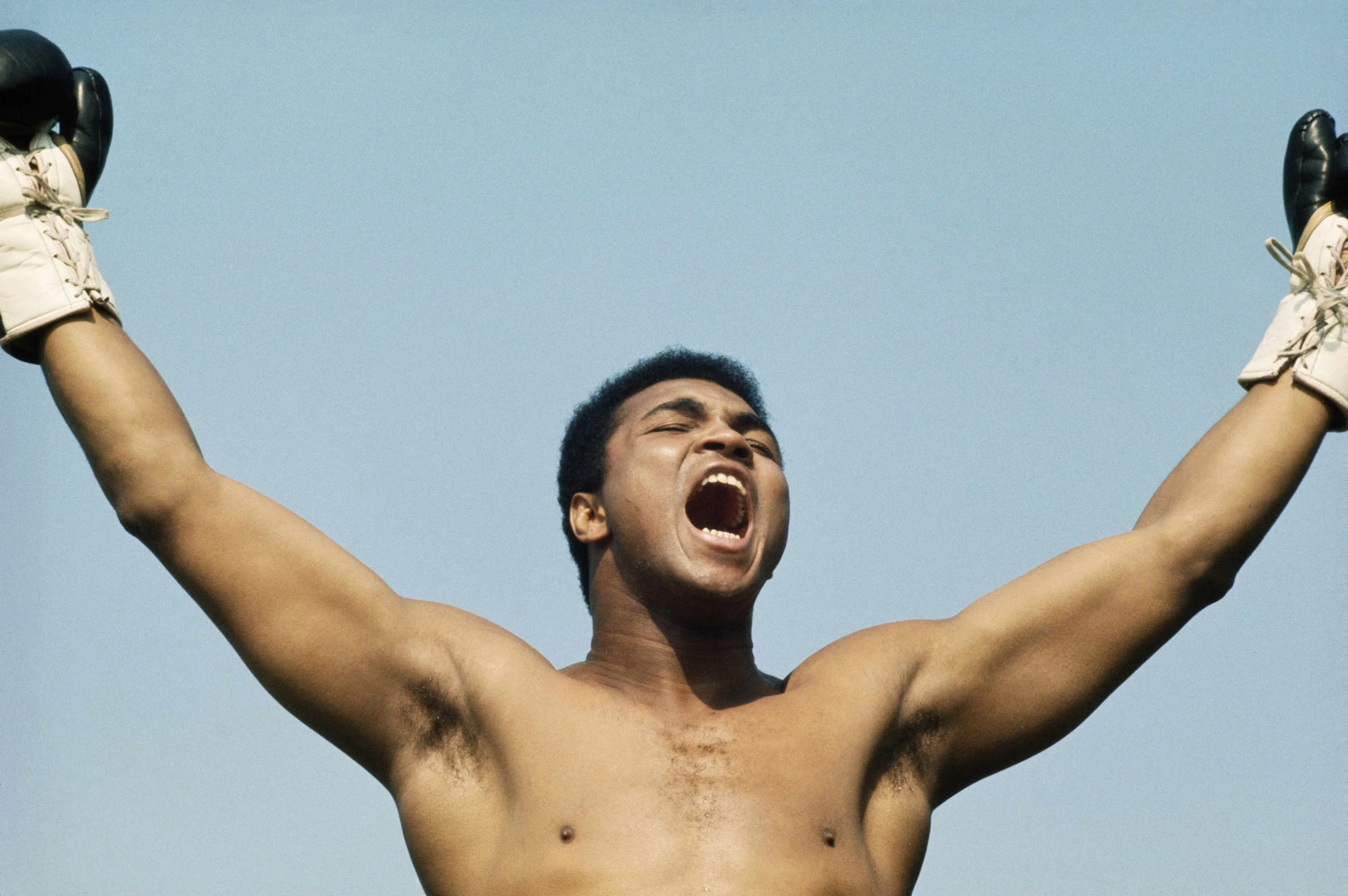 WHEN ALI CAME TO IRELAND