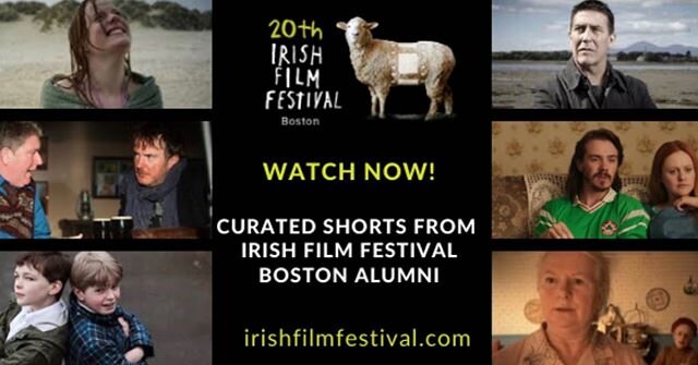We have something special to share with you....Visit our website now to watch our curated list of favorite Irish short films from past film festivals. Link in bio. 💚