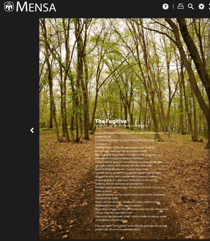 Cover by Siena