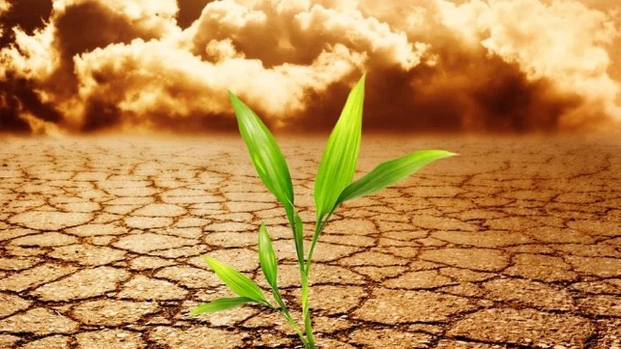 Tu Dosis de Salud Integral No.31